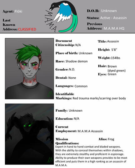 Flóki profile